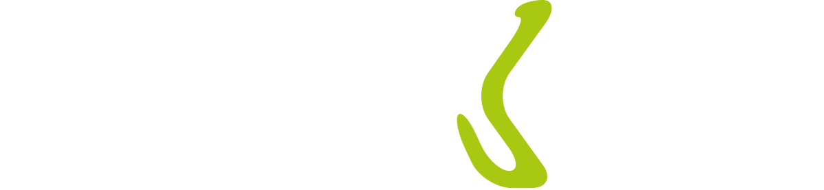 paraXent GmbH Logo